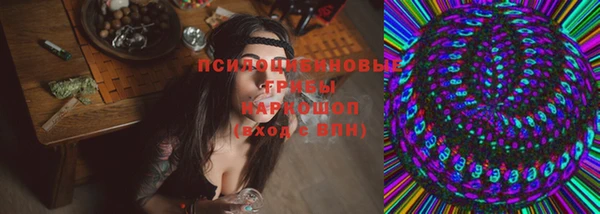 круглые Арсеньев