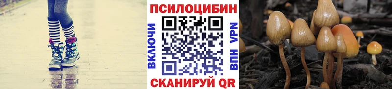 Псилоцибиновые грибы Psilocybine cubensis  продажа наркотиков  Руза 